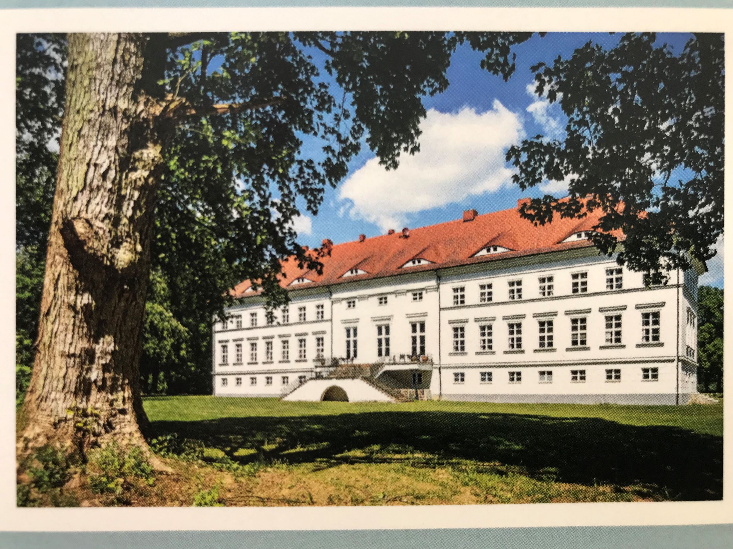 25 Saal Schloss-Ideen  schloss, fensterdekoration, individuelle